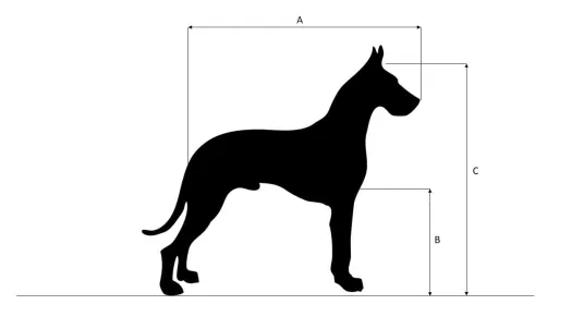 Medicíon perro