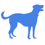 Perro solo